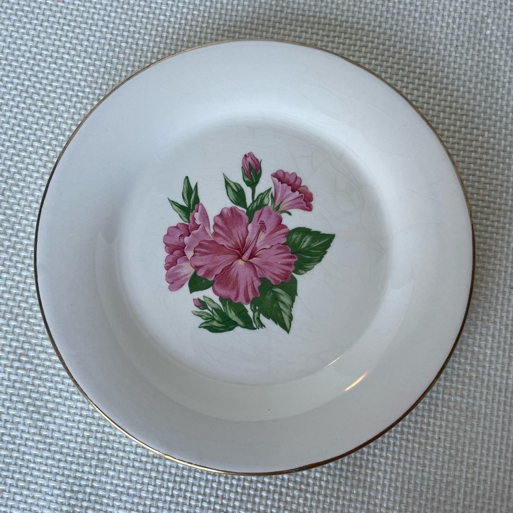 Lofisa Vintage Set Of 6 Plates Gold Rim Pink Flowers Guadalajara Mexico